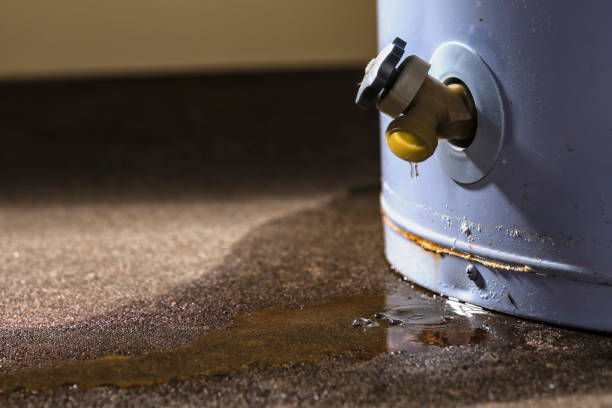Best Carpet water damage restoration  in Lincoln, AL