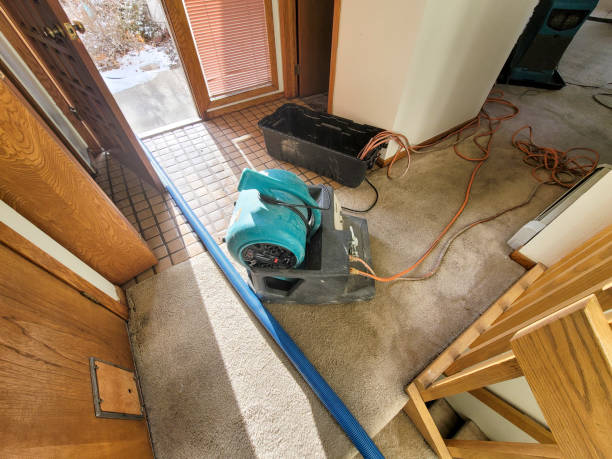 Fire Damage Restoration in Lincoln, AL
