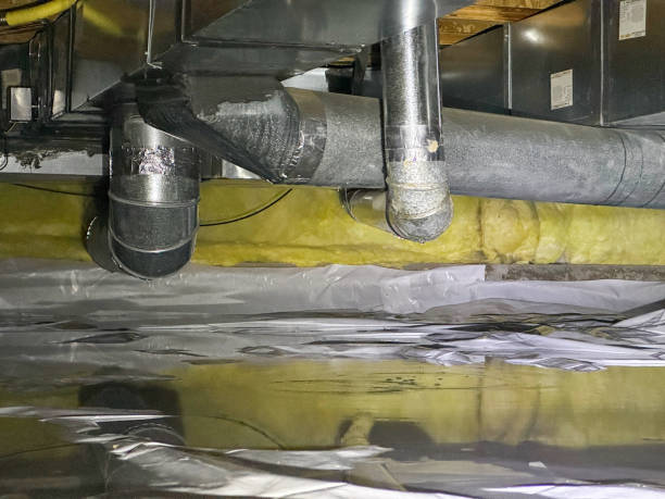 Carpet water damage restoration in Lincoln, AL