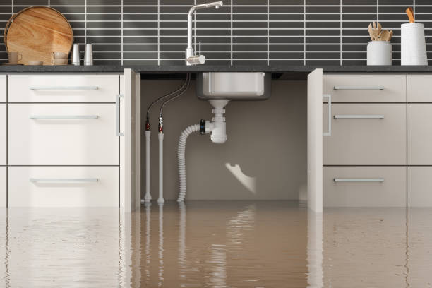 Best 24/7 water damage repair  in Lincoln, AL