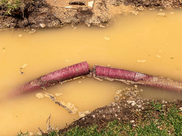 Best Local water damage restoration  in Lincoln, AL