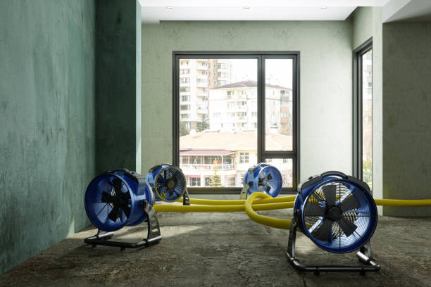 Best Fire Damage Restoration  in Lincoln, AL